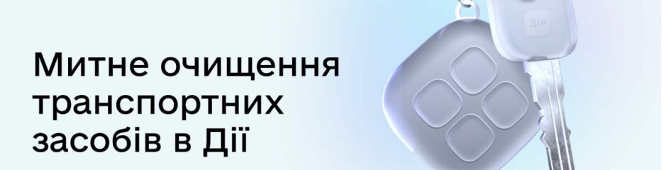 Розмитнення автомобілів в сервісі «Дія» взято за основу для законопроектів: яка формула діє нині